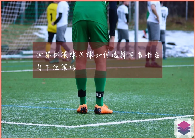 世界杯滚球买球如何选择可靠平台与下注策略