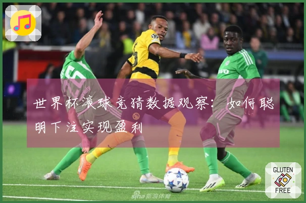 世界杯滚球竞猜数据观察：如何聪明下注实现盈利