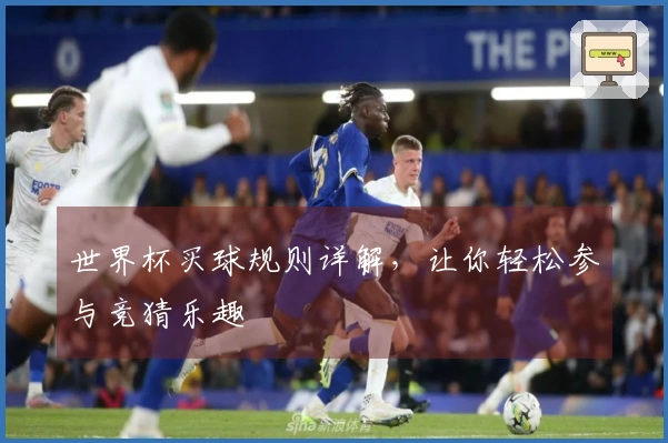 世界杯买球规则详解，让你轻松参与竞猜乐趣