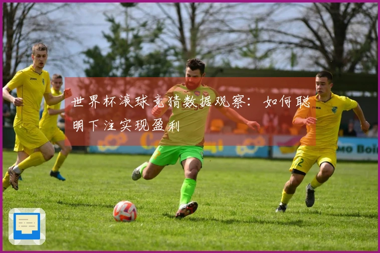 世界杯滚球竞猜数据观察：如何聪明下注实现盈利