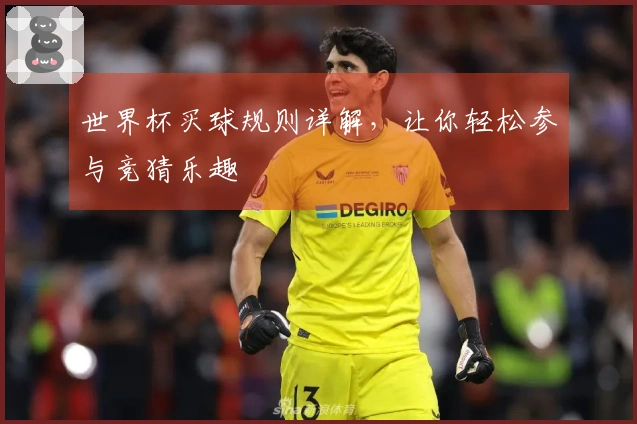 世界杯买球规则详解，让你轻松参与竞猜乐趣